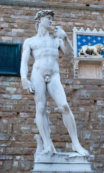 David Michelangelo