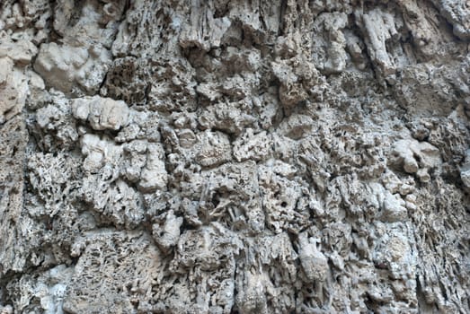 Cave wall texture