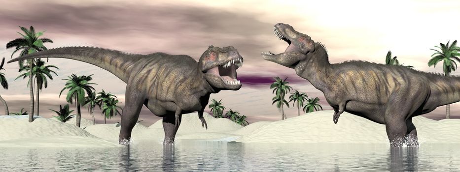 Two tyrannosaurus rex dinosaurs fighting into the water in desertic landscape