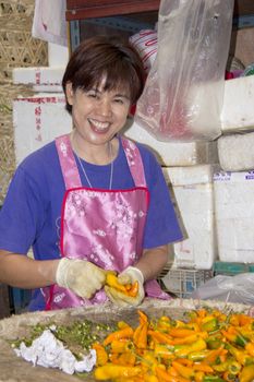 Bangkok, Thailand-Spetember 25th 2012: Woman sorting orange chillies on Pak Khlong Talat market. The market is the largest fresh produce market in Bangkok.