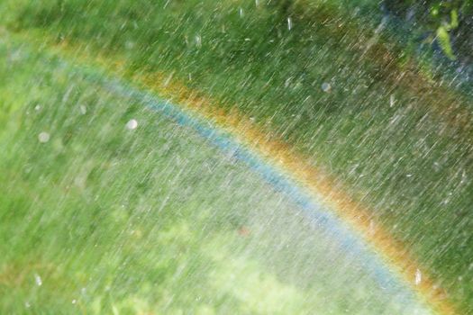 rainbow on the green meadow with rain