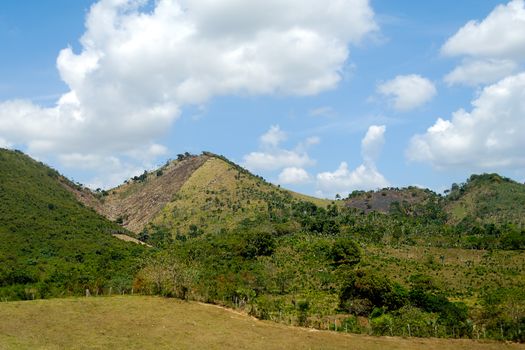 Green nature at The Dominican Republic