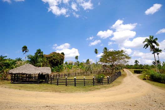 Farm at The Dominican Republic