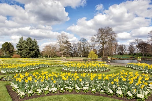 Flower beds with daffodils and primroses near small lake in the park