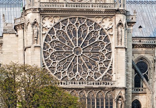 Rosette from Notre Dame Cathedrale in Paris