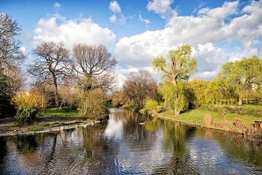 Pastoral Landscape in British Countryside