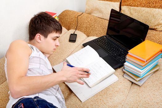 Teenager doing Homework on the Sofa at the Home