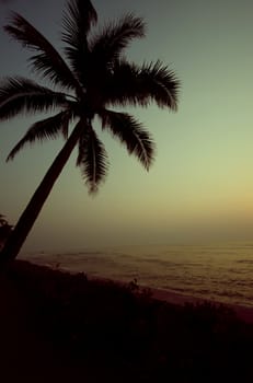Sunset at a beach with palm trees. vintage