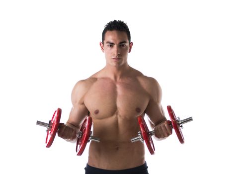 Muscular sexy shirtless young man exercising biceps with dumbbells, isolated on white 