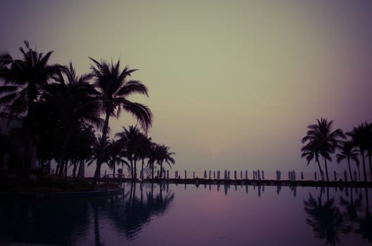 Palm trees on the beautiful sunset background.