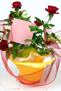roses in flowerpot with a blank card