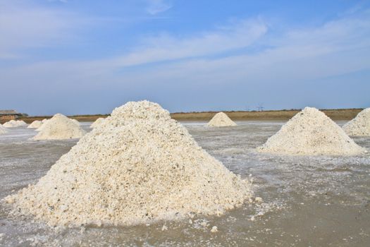 Salt in the Saline in rural Thailand