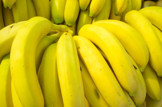 Full frame take of fresh bananas on a market stall