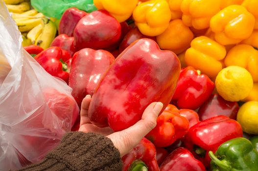 Female hands choosing fresh peppers on a market stall