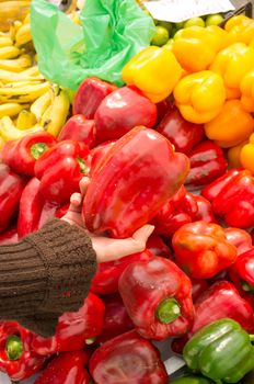 Female hands choosing fresh peppers on a market stall