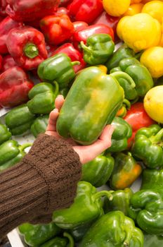 Female hands choosing fresh peppers on a market stall