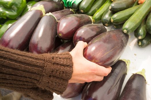 Female hand choosing eggplants on a street market stall