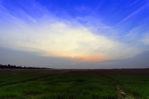 Western Baray near Western Mebon at Sunset. Cambodia.