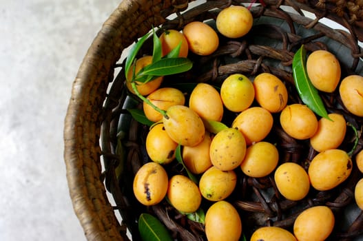 Exotic Thai Fruit, Marian plum 