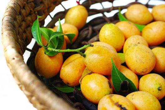 Exotic Thai Fruit, Marian plum 