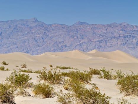Sand dunes in Desert Valley, California, USA