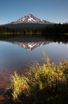 Late afternoon sun warms Mount Hood above Trillium Lake