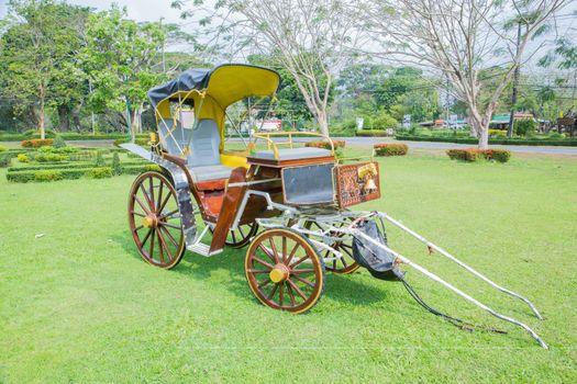 Landau retro style on green grass.