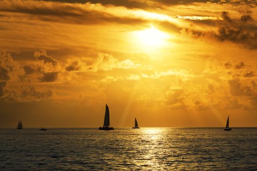View of Sailboats in the sea at sunset 
