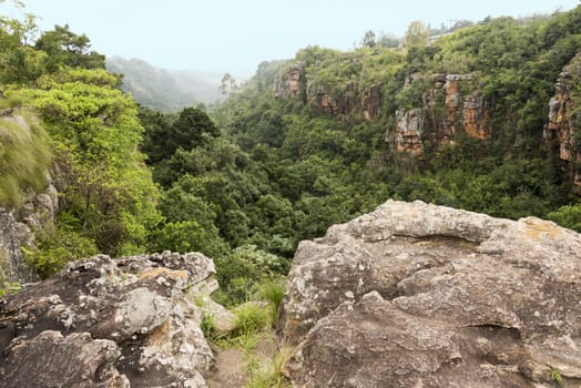 rocks and mountains with green moss and plants around sabie south africa