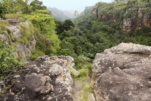 rocks and mountains with green moss and plants around sabie south africa