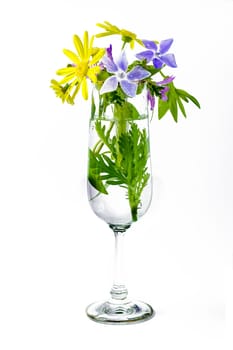 flowers in a champagne flute, isolated on white background