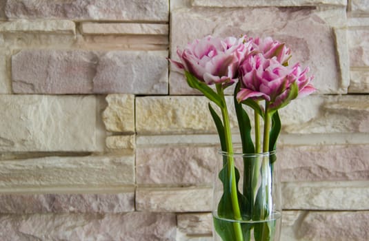 bouquet a  tulips  on the glass vase