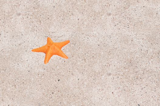 A sea orange star on the beach