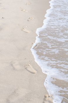 Footprints in wet sand of the beach