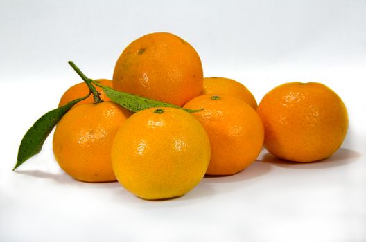 Several fresh mandarins with leaf on white background 