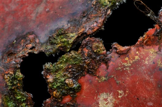 Rusty mossy surface of red iron mug