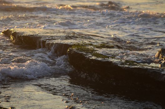 Beach, water under sunset scene in portugal