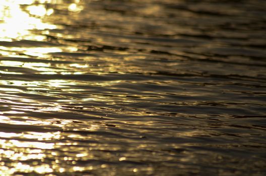 Beach, water under sunset scene in portugal