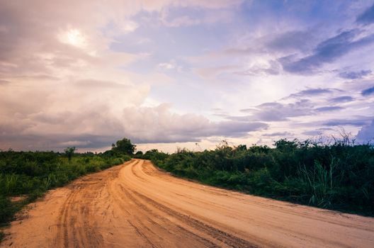 Soil road and grass meadow in  countryside view nature