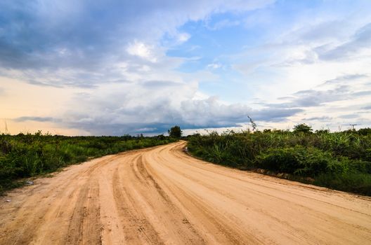 Soil road and grass meadow in  countryside view nature