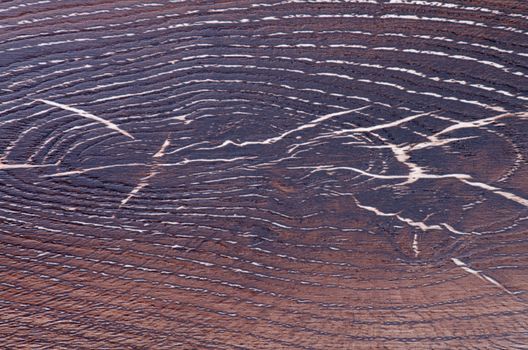 Background of Dark Brown Hardwood with Rough and Peel closeup