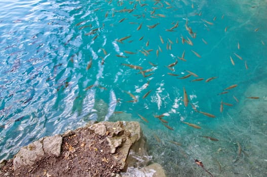 Plitvice Lakes National Park in Croatia