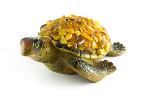 turtle on a white background with amber on the back