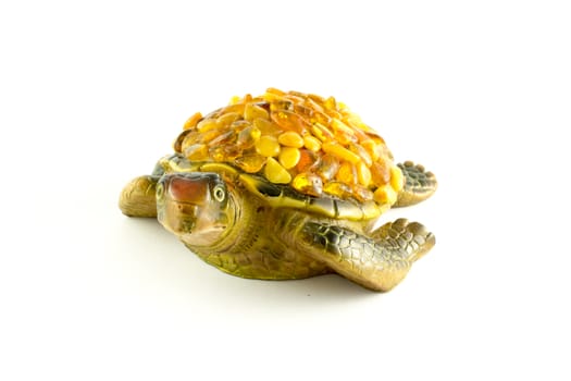 turtle on a white background with amber on the back