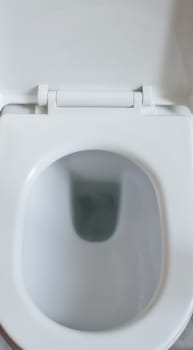 White toilet bowl in the passage