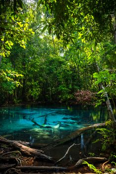 Emerald Pool at Krabi in Thailand