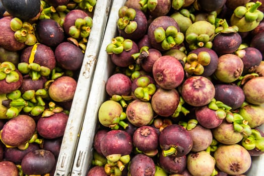 Fresh Purple mangosteen after harvest