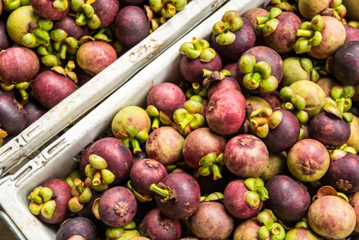 Fresh Purple mangosteen after harvest