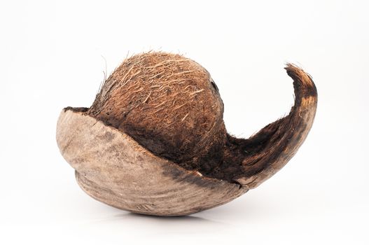 The burned coconut strange to see ������on white background