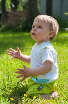 Cute little baby boy sitting on the grass